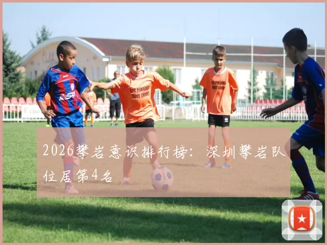 2026攀岩意识排行榜：深圳攀岩队位居第4名