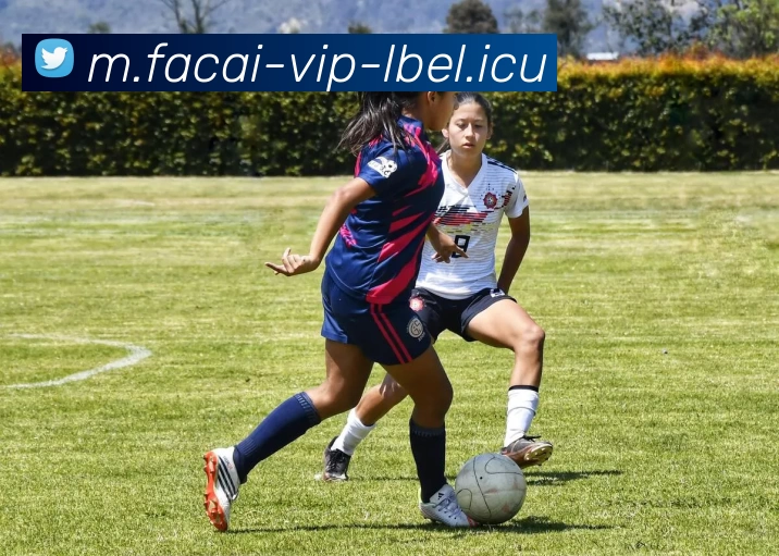 乐鱼体育注册品牌故事